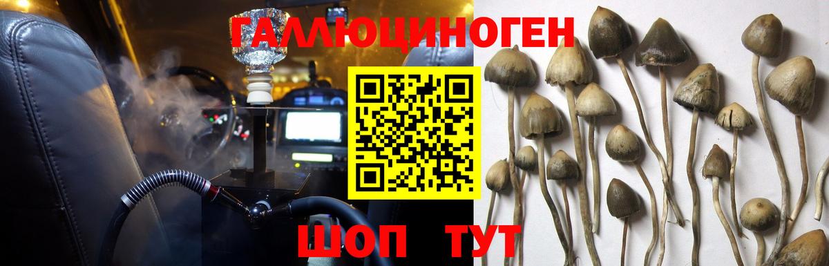 Галлюциногенные грибы ЛСД Алушта